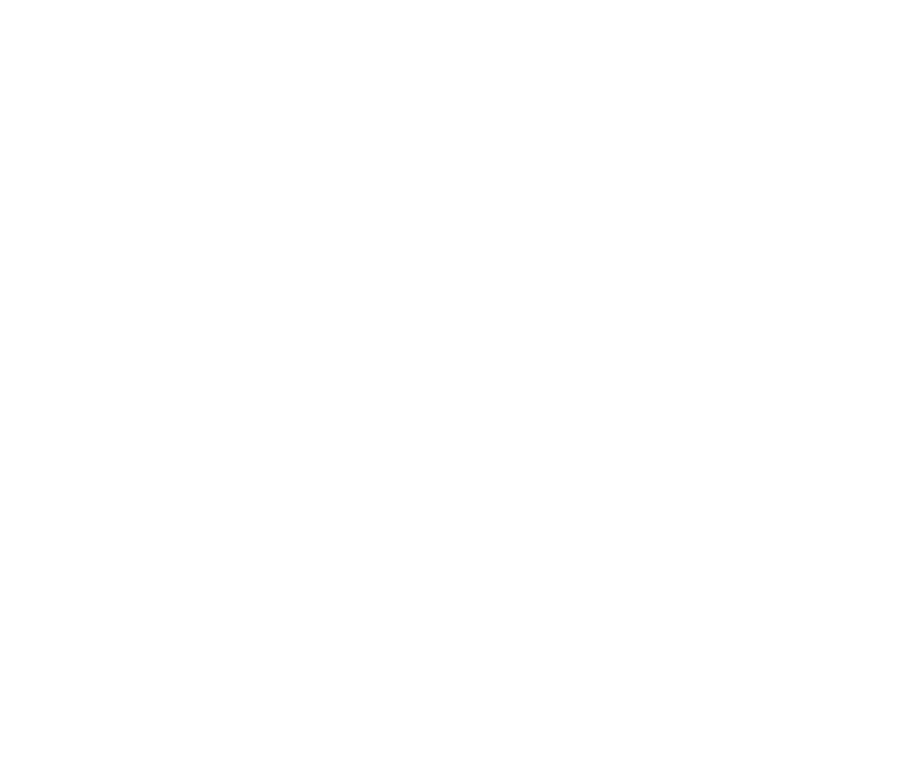 sbs-logo-negative