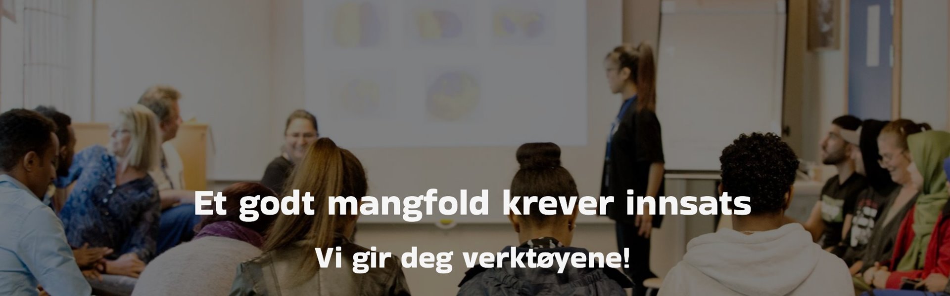 2flexid-ungdervisning2