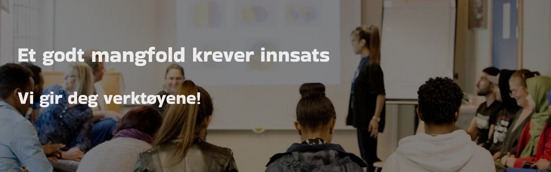 2flexid-ungdervisning3