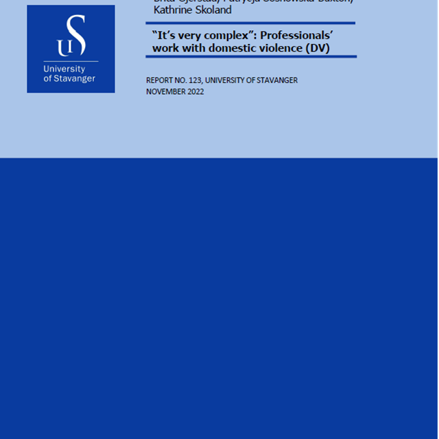 “It’s very complex”: Professionals’ work with domestic violence