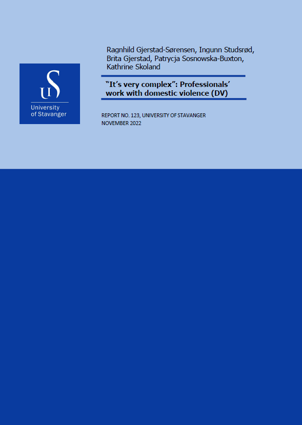 “It’s very complex”: Professionals’ work with domestic violence