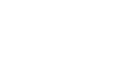 dnb_sbs_logo