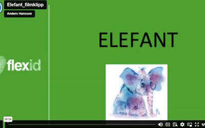 elefant