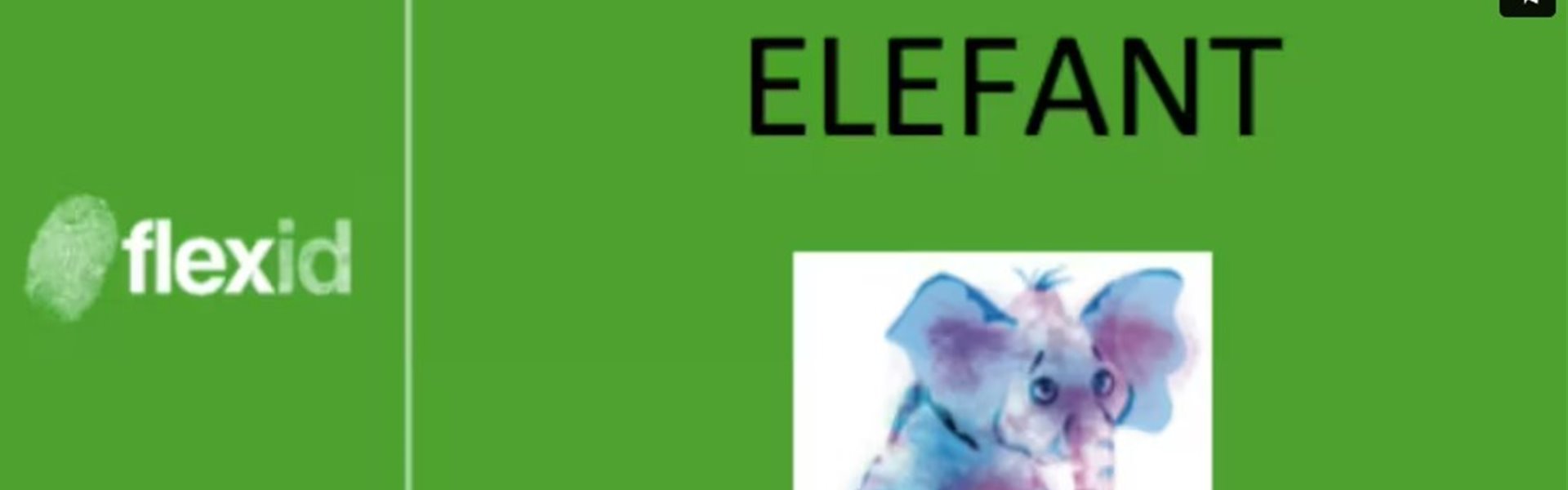 elefant