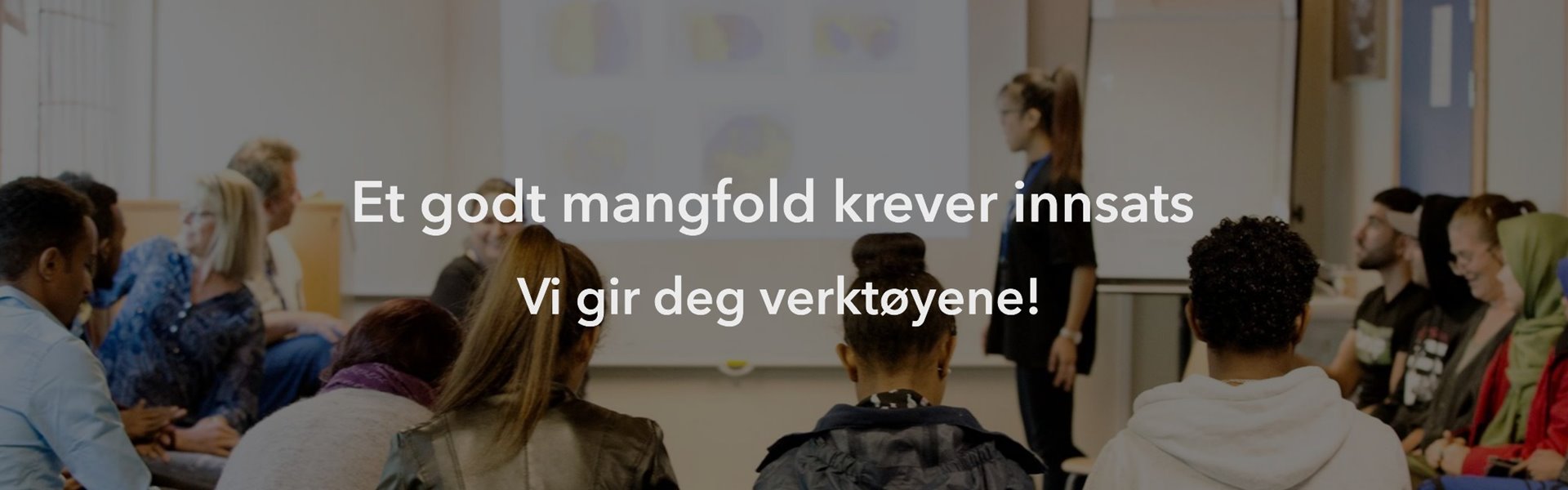 flexid-ungdervisning2