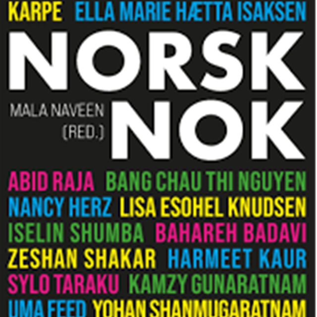 Norsk nok - tekster om identitet og tilhørighet