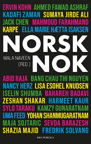 Norsk nok - tekster om identitet og tilhørighet