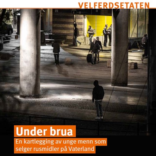 Under brua – en kartlegging av unge menn som selger rusmidler på Vaterland